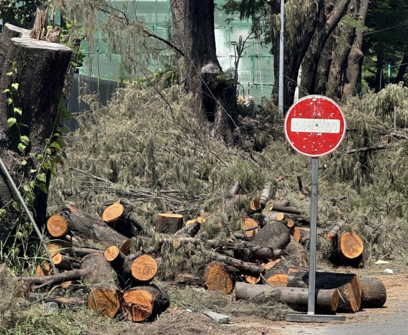 ބައެއް ފިތުރޯނު ގަސްތައް ހުޅުމާލެއިން ކަނޑަނީ، އިމާރާތް ކުރުމަށް ދަތިވާތީ: އެޗްޑީސީ