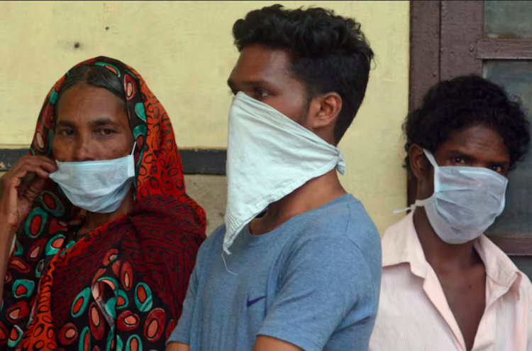 ނިޕާ ވައިރަސް ކެރަލާ އާއި ވެސްޓް ބެންގަލްގައި އާންމުވާ ކަމުގެ އިންޒާރު ދީފި