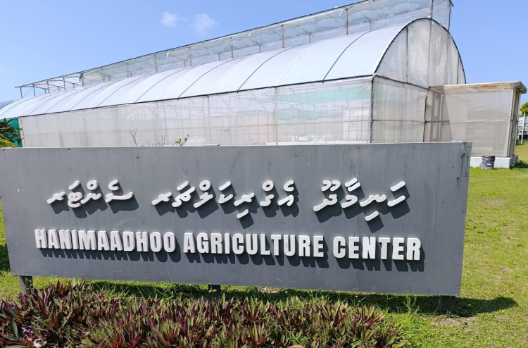 ހަނިމާދޫ އެގްރިކަލްޗާ ސެންޓަރު އަޕްގްރޭޑްކުރާނެ ބަޔަަކު ހޯދަނީ