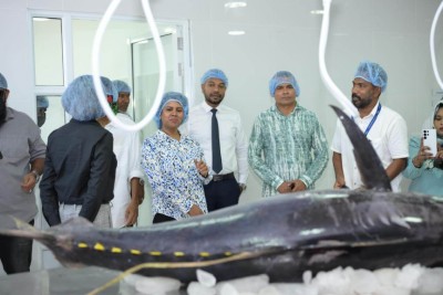 އައްޑޫގައި މަސް ޕްރޮސެސްކުރާ ފެސިލިޓީ ހުޅުވައިފި