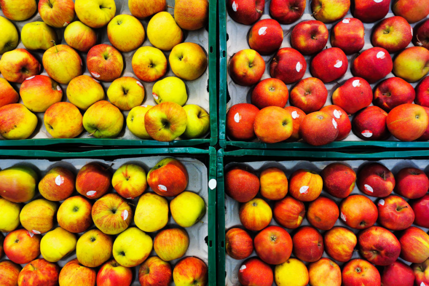 ޔޫރަޕް އާފަލުން ގިނަ ވައްތަރުތަކެއްގެ ބޭސް ފެނުމުން ކަންބޮޑުވުން