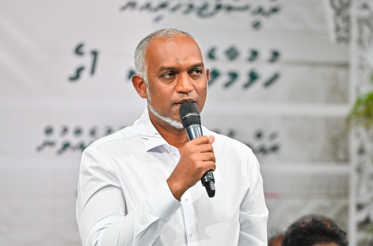 ޖަރުމަނުގެ ރައީސްގެ ދައުވަތަކަށް ރައީސް މުއިއްޒު އެ ގައުމަށް ވަޑައިގަންނަވަނީ