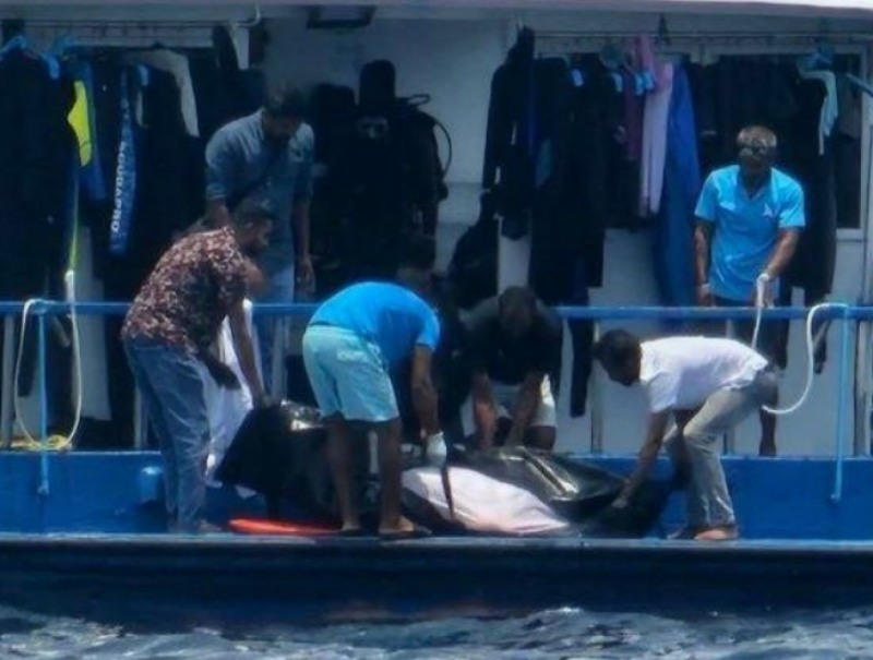 ދޯންޏެއްގެ ބުރަފަތީގައި ޖެހި ޖަރުމަނު ފަތުރުވެރިޔަކު މަރުވެއްޖެ