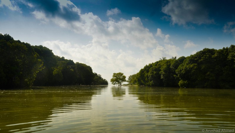 ގެސްޓުހައުސް އެޅުމަށް ހުރާއިން 25 ބިމެއް ކުއްޔަށް ދޫކުރަނީ