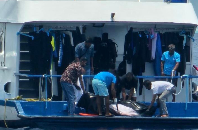 ދޯންޏެއްގެ ބުރަފަތީގެ ޖެހި، ޓޫރިސްޓަކު މަރުވެއްޖެ