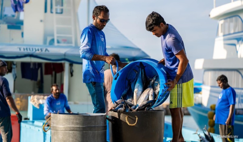 ޖަނަވަރީ މަހު މަސްވެރިންނަށް 40 މިލިޔަން ރުފިޔާ