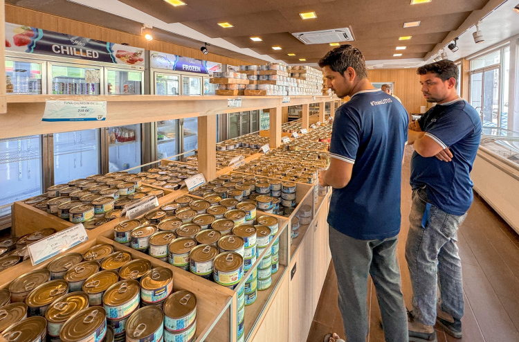 މަސްވެރިކަން ދަށްވެފައި ވިޔަސް ރޯދަމަހު އެއްވެސް ދަތިކަމެއް ނެތި މަސް ލިބޭނެ: މިފްކޯ