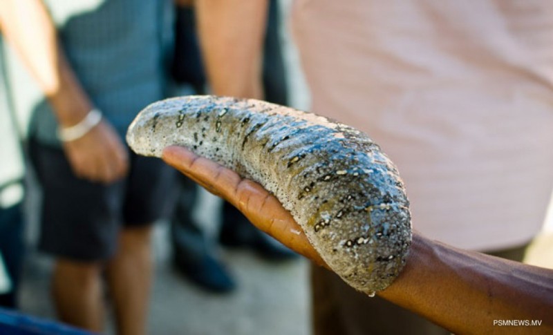 މައްސަލަ ޝަރިއަތަށް ހުށަހަޅާފައިވަނިކޮށް ހުއިފިލަނޑާތައް ވިއްކާލަން ފުލުހުން އަނެއްކާވެސް އިއުލާންކޮށްފި