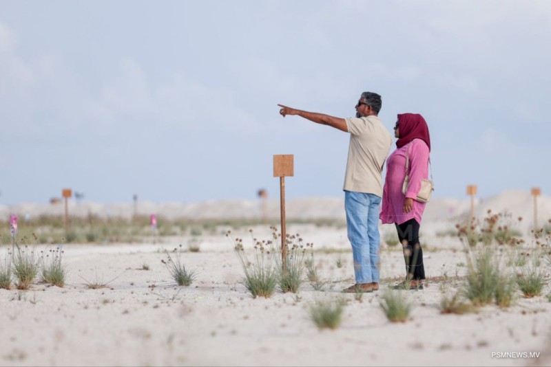 އަނބި/ފިރިމީހާގެ ބޯހިޔާވަހިކަމެއް އޮތް ނަމަވެސް ގޯއްޗަށް ކުރިމަތިލެވޭ ކެޓަގަރީއެއް ކަނޑައަޅަނީ