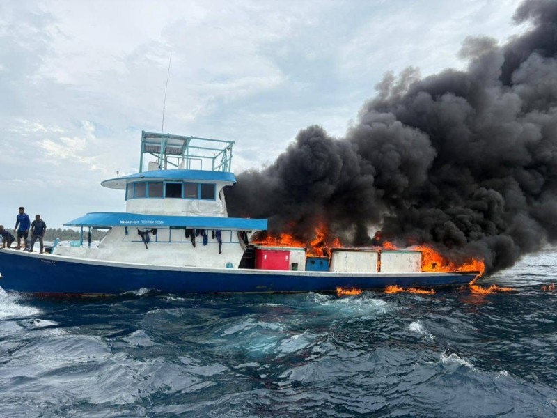 ދޯނީގައި ރޯވުން: ދޯނީގެ ބައިތައް އޮޔާދާތީ ސަމާލުވާން އިލްތިމާސްކޮށްފި