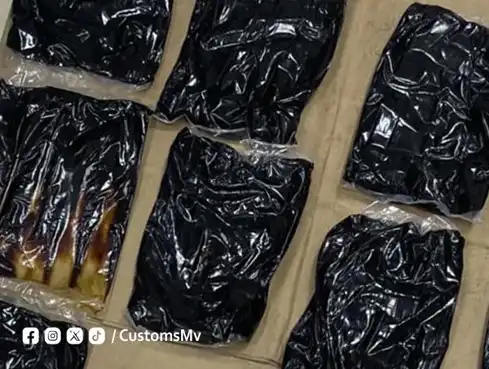 ކަނޑުމަގުން ރާއްޖެ އެތެރެކުރަން އުޅުނު 29 މިލިއަން ރުފިޔާގެ ހަޝިޝް އޮއިލް އަތުލައިގަނެފި