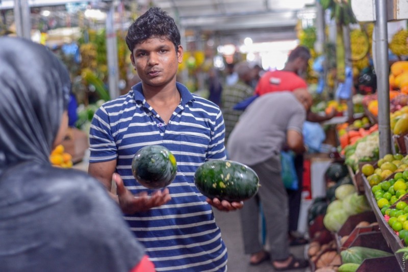 އިއްޔެ 20 ރުފިޔާއަށް ކިލޯއެއް ވިއްކި ކަރާ މިއަދު 25އަށް