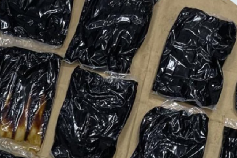 ކަނޑުމަގުން އެތެރެކުރަން އުޅުނު 29 މިލިއަން ރުފިޔާގެ ހަޝިޝް އޮއިލް ހިފަހައްޓައިފި