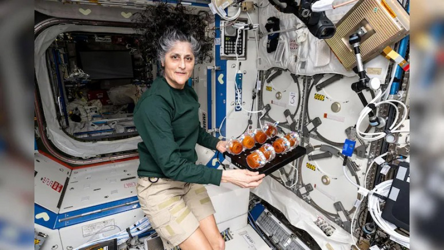 ޖައްވަށް ކުރި ދަތުރަށް ފަހު ސުނީތާ ބުނީ އިންސާނުން ދެބަސްވުމަކީ ބޭކާރު ކަމެއް ކަމަށް