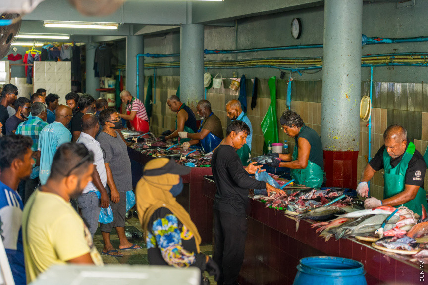 މަސް މާރުކޭޓު މައްސަލައިގައި އާޒިމް: އެއްބަސްވުން ބާތިލުކުރުމުގެ މަސައްކަތް އެބަ ކުރަން