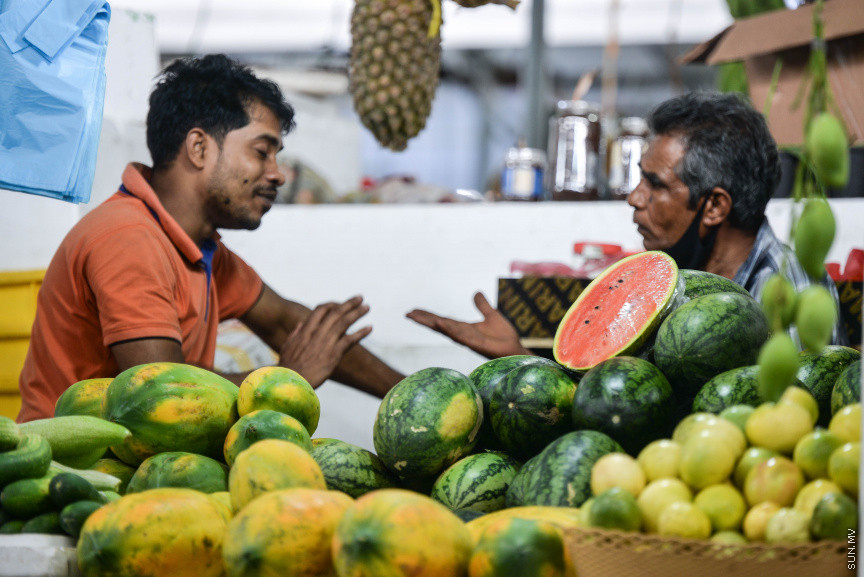 ރޯދައަށް ތޮއްޑޫގެ ކަރާ ދަނޑުތައް ދޮންވެ ފައްކާވެފައި، ދުވާލަކު 10 ޓަނު ކަރާ ބާޒަރަށް ނެރޭނެ!