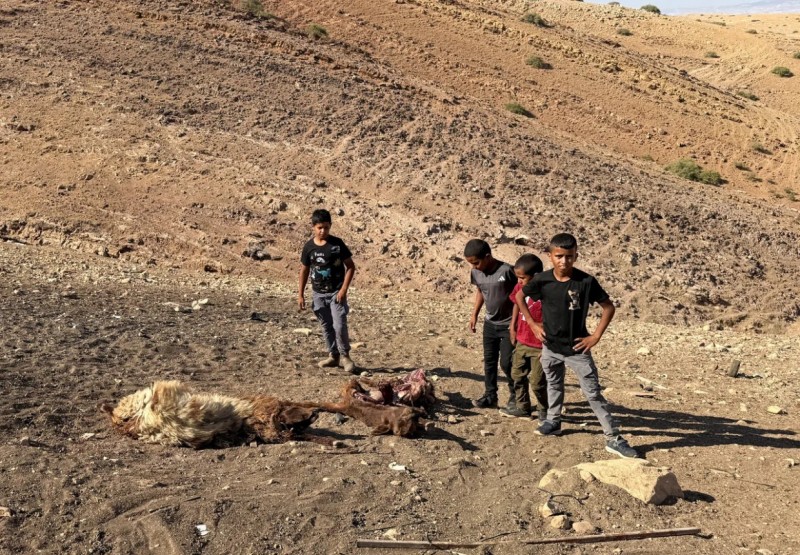 މައިނެއް ގޮވައި ފަލަސްތީނުގެ 13 އަހަރުގެ ކުއްޖަކު މަރުވެއްޖެ