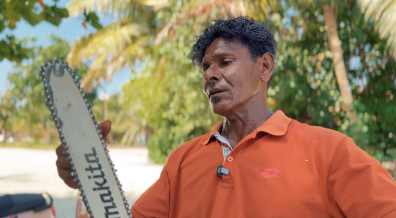 ޓަކޭ: "ރޮމުން" ކަނޑާ ގަހަކަށް، ދެ ތިން ގަސް އިންދާ