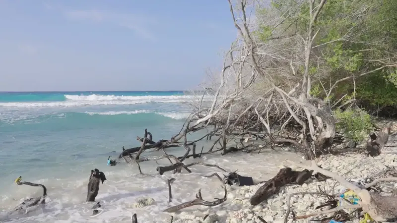 ކެނދިކުޅުދޫ ފުއްޓަރު ގިރައިގެން ދިއުން ހައްލުކޮށްދެއްވާނެ ކަމަށް ރައީސް މުއިއްޒު 2 ފަހަރު ވިދާޅުވެއްޖެ، އަދި ވީ އެއްކަމެއްވެސް ނެތް!