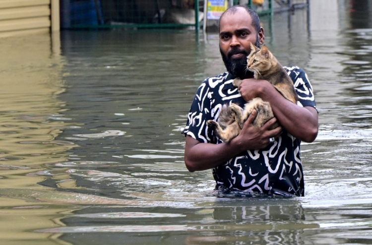 ލަންކާގައި ބުޅަލުން ރޭބީޒް ފެތުރޭތީ އިންޒާރު ދީފި