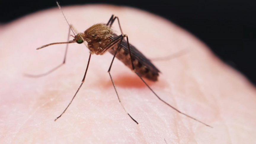 ކީރިތި ޤުރްއާނުން މިސާލު: މިސާލަށް ބަލައިލުން