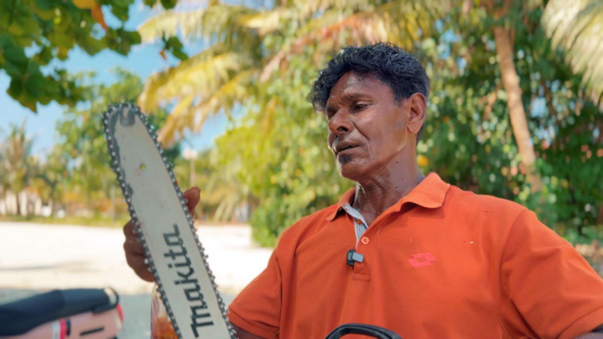 ޓަކޭ: "ރޮމުން" ކަނޑާ ގަހަކަށް، ދެ ތިން ގަސް އިންދާ