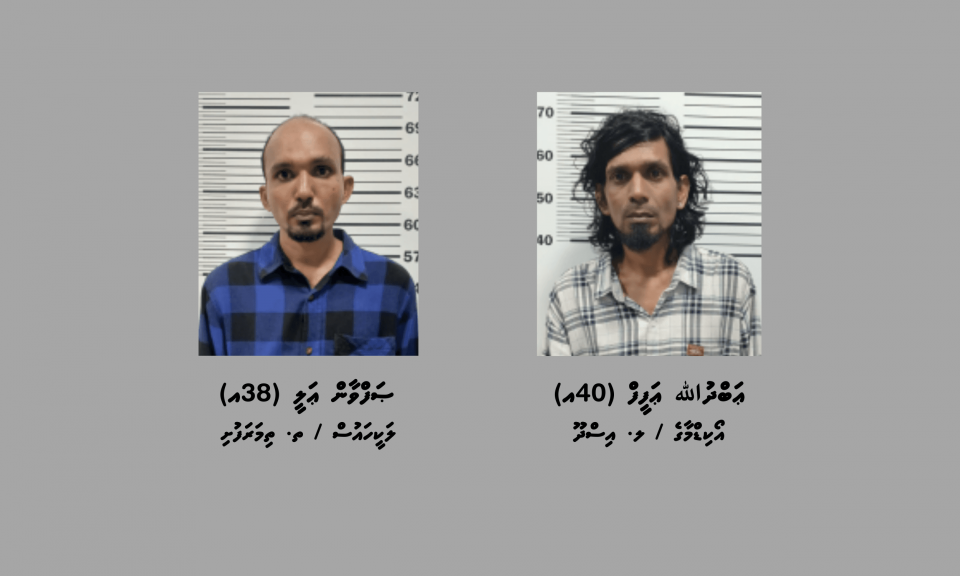 މަސްތުވާތަކެތީގެ ވިޔަފާރިކުރާކަމަށް ތުހުމަތުކުރެވޭ ދެ މީހަކު ހައްޔަރުކޮށްފި