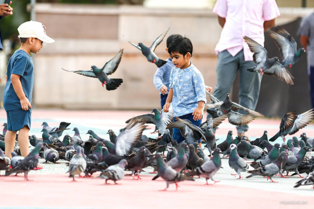 ޖުމްހޫރީ މައިދާނާއި ސަލްޓަން ޕާކު އަދި ސުނާމީ ބިނާ މައިޒާން ޢީދަށް ނިންމަނީ