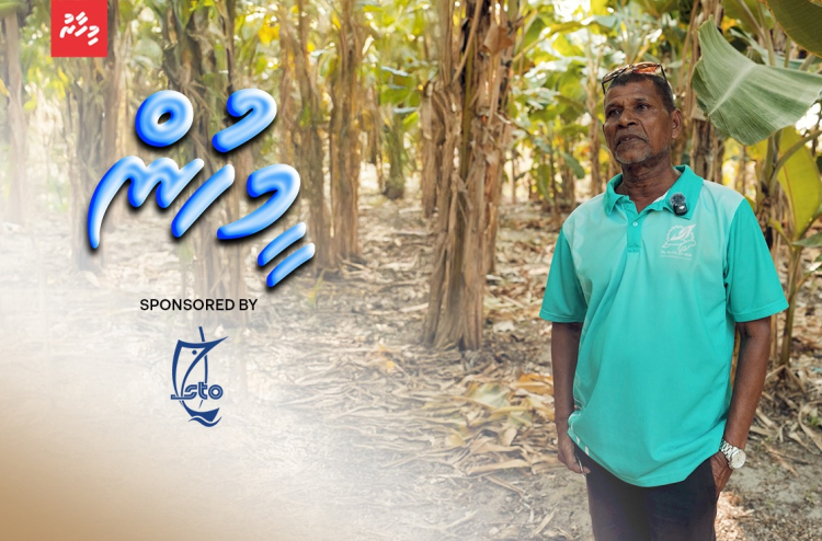 ޒަރީރުގެ ދަނޑުން ކަނޑަނީ ތެދުވެރިކަމުގެ ފޮނި މޭވާ