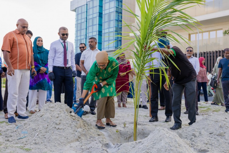 ރުއްތަކަށް ގިނަ ދުވަސްވެ، މަތިވަރު ހަލާކުވެފައިވާތީ އަރިޔަދޫގައި ރުއް އާލާކުރުމުގެ މައި މަރުކަޒެއް ގާއިމުކުރަނީ