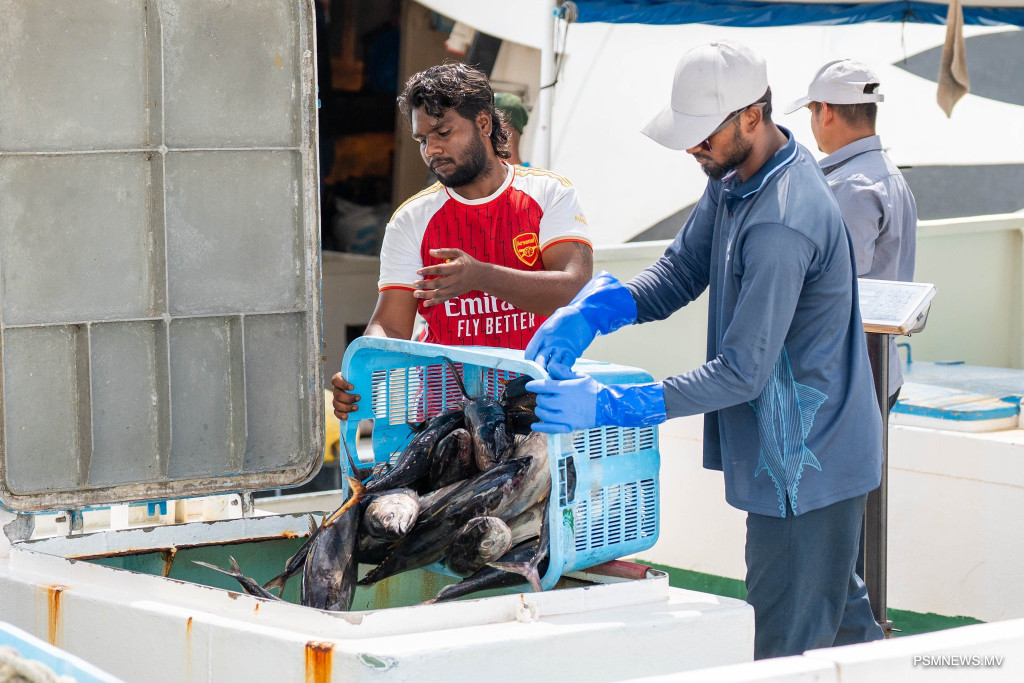 ފެބްރުވަރީ މަހު މަސްވެރިކަން ދަށް، ދޫކޮށްފަވަނީ 20 މިލިޔަން ރުފިޔާ