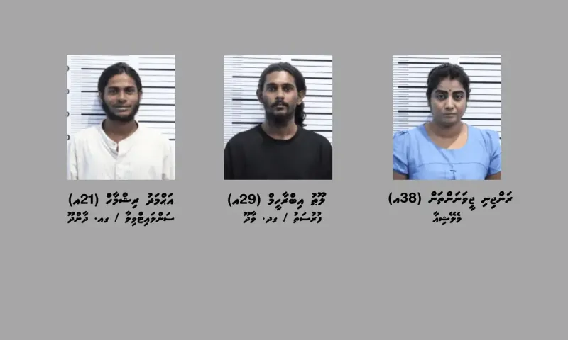ދެ ކިލޯއަށްވުރެ ގިނަ މަސްތުވާތަކެތި ވައިގެ މަގުން ރާއްޖެއަށް އެތެރެކުރަން އުޅުނުކަމުގެ ތުހުމަތުގައި ތިން މީހަކު ހައްޔަރުކޮށްފި