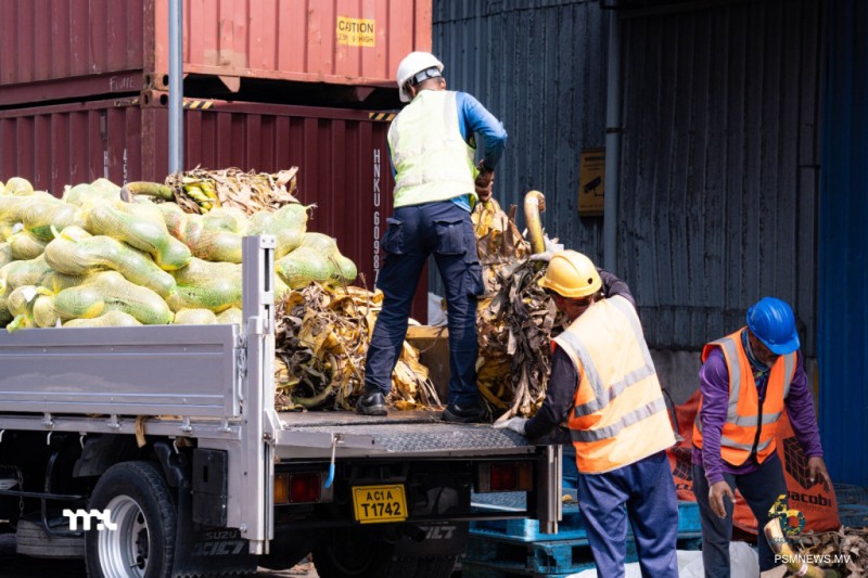 ކޮންމެ މޫސުމެއްގައިވެސް އެކި ހިސާބުތަކަށް މުދާ އުފުލާނެ ރޫޓުތަކެއް