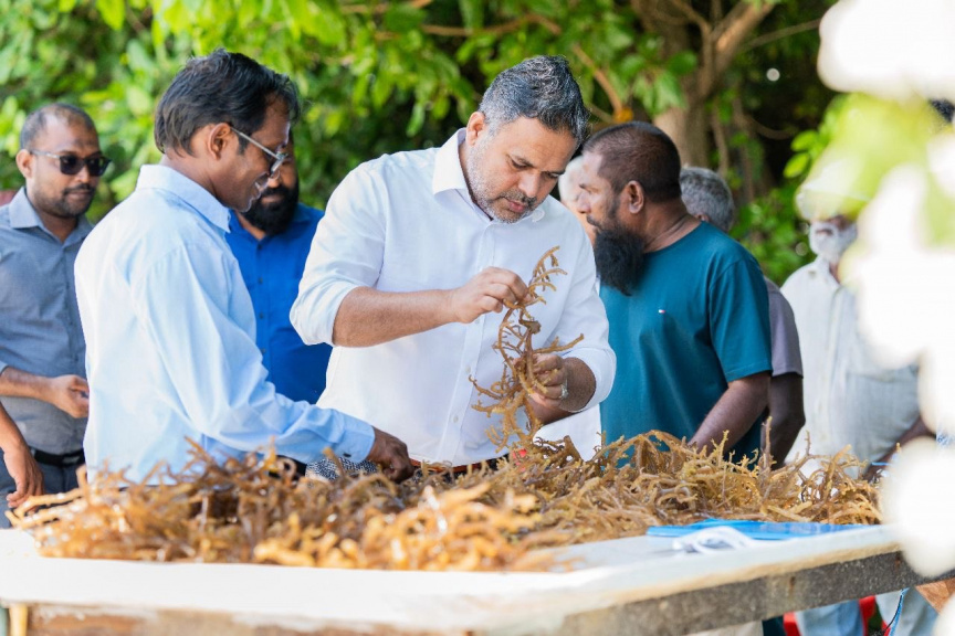 އުއްމީދަކީ ރާއްޖޭގެ މެރިކަލްޗާ ސިނާއަތް، ބިލިއަނުން ރުފިޔާ ލިބޭ ވަރަށް ތަރައްގީކުރުން: ޝިޔާމް