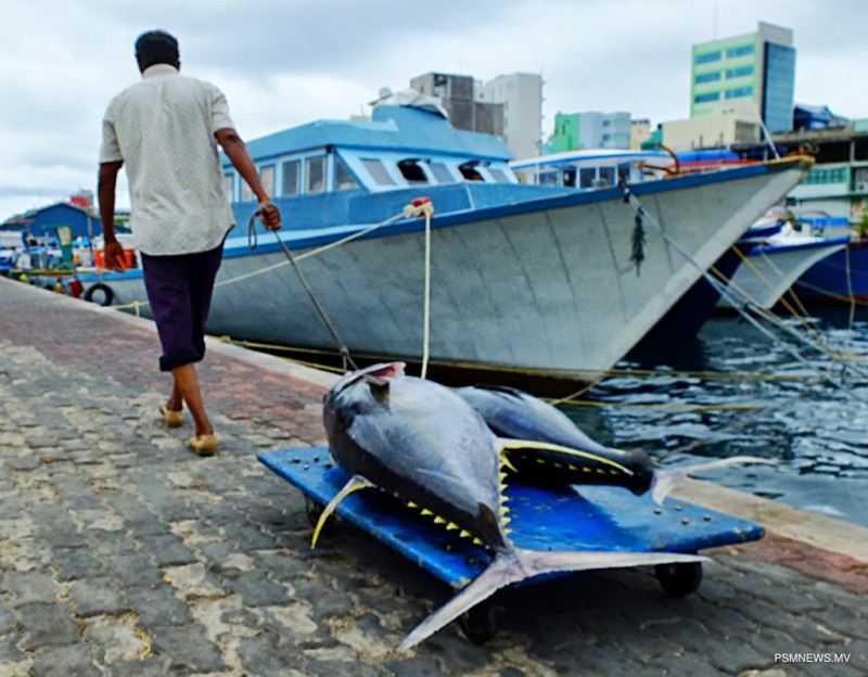 ފެބްރުވަރީ މަހު މަސްވެރިކަން ދަށް، ދޫކޮށްފަވަނީ 20 މިލިޔަން ރުފިޔާ