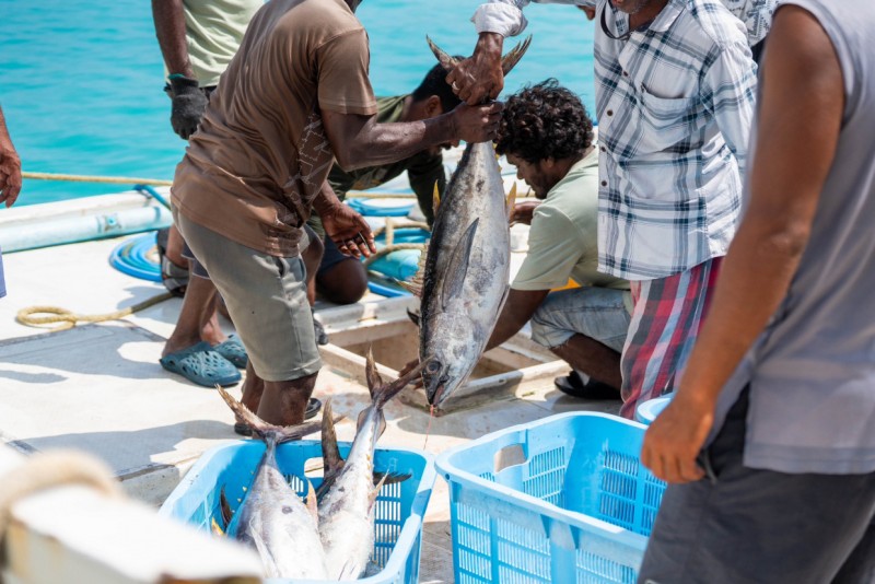 ދަފުތަރުގައި ހިމެނޭ 89 މަސްވެރިއަކަށް ބީއެމްއެލްގެ ލޯނު ދީފި