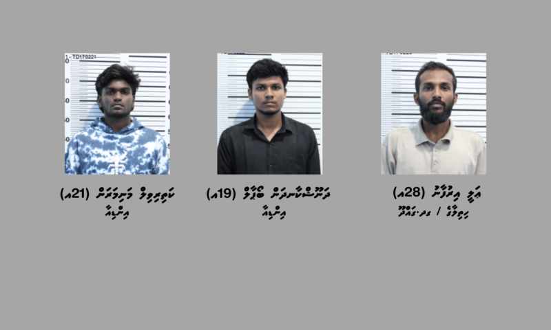 ހަ ކިލޯއަށްވުރެ ގިނަ މަސްތުވާތަކެތި ރާއްޖެ އެތެރެކުރިކަމުގެ ތުހުމަތުގައި ދިވެއްސަކާއި އިންޑިއާ 2 މީހުން ހައްޔަރުކޮށްފި