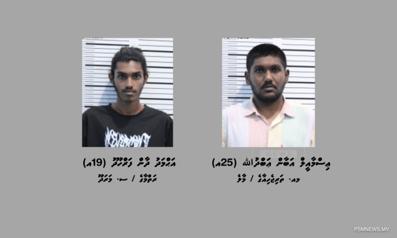 ކަނޑުމަގުން މަސްތުވާތަކެތި އެތެރެކުރި ދެ މީހަކު ހައްޔަރުކޮށްފި