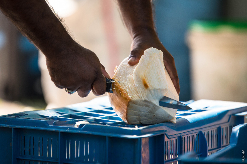 ކުރުނބާގެ އަގު ހެޔޮ ވަމުން ގޮސް 35 ރުފިޔާއަށް، ފަހު 10ގައި އަގު އިތުރަށް ދަށްވާނެ