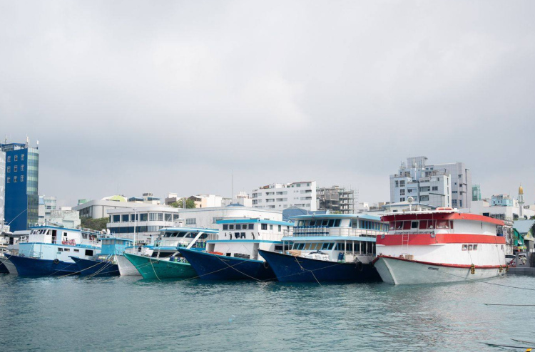 ނޯތު ހާބަރުގައި އުޅަނދުތަކަށް ޖާގަ ދޭ އުސޫލަށް ބަދަލުތަކެއް ގެނެސްފި