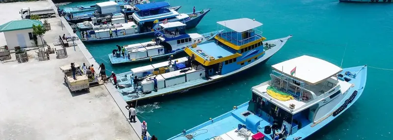 އެންސިސް އިން މަސްވެރިންނަށް ހިލޭ އައިސް ދޫކުރުން ހުއްޓާލައިފި