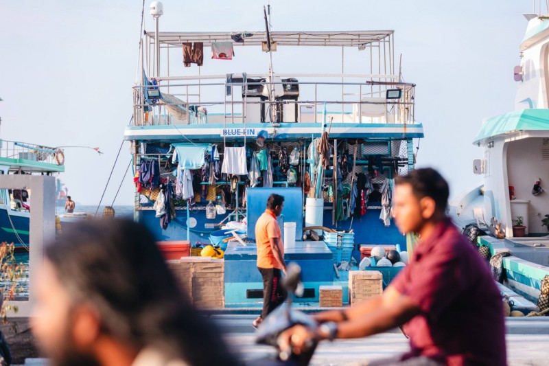 އެމެރިކާގެ ކުންފުނިތަކުން މަސް ގަތުމުގައި ބަލާ ޕްރޮގްރާމުން، ވަކި ގައުމަކަށް ޚާއްސަ ކުރި ފުރަތަމަ ރޭޓިން ރާއްޖެއަށް