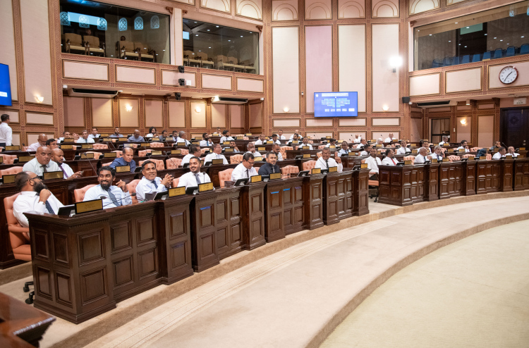އިންތިހާބުގެ ދުވަހާއި މަޖިލީހުން ގާނޫނީ ޒިންމާއަދާކުރުން ގައުމީ މައްސަލައެއް؟