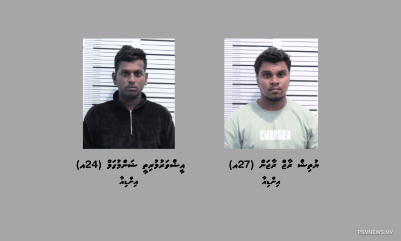 6 ކިލޯއަށްވުރެ ގިނަ މަސްތުވާތަކެތި އެތެރެކުރަން އުޅުނު 2 މީހަކު ހައްޔަރުކޮށްފި
