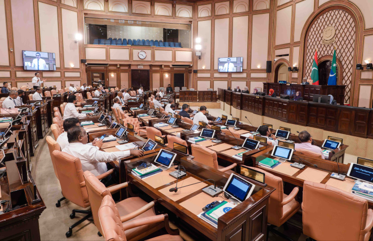މަޖިލީހުގެ ވަކި ޕަސެންޓެއް 30 އަހަރުން ދަށުގެ ޒުވާނުންނަށް ހާއްސަކުރަނީ