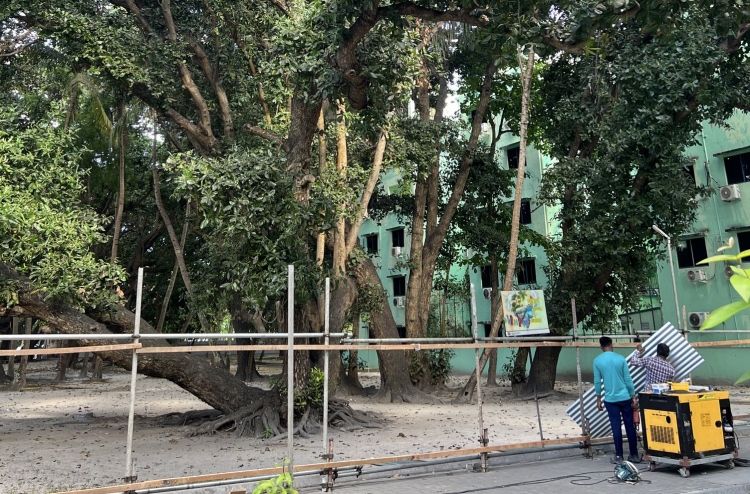 ފްލެޓް ޕްރޮޖެކްޓަށް ވިލިމާލެ އިން ކަނޑާނީ ވީހާ ވެސް މަދު ގަހެއް: މިނިސްޓަރު