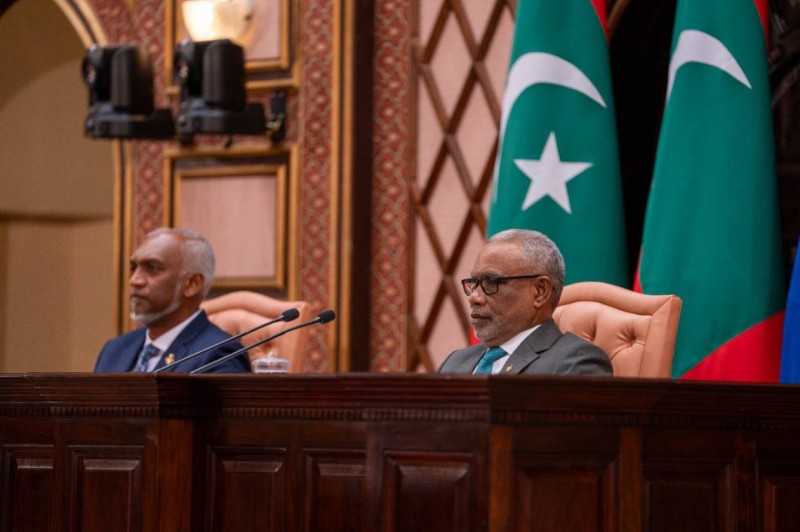 ޒުވާނުންނާއި އަންހެނުންނަށް މަޖިލީހުން ވަކި އިންސައްތައެއް ޚާއްސަކުރަން ދިރާސާކުރަނީ