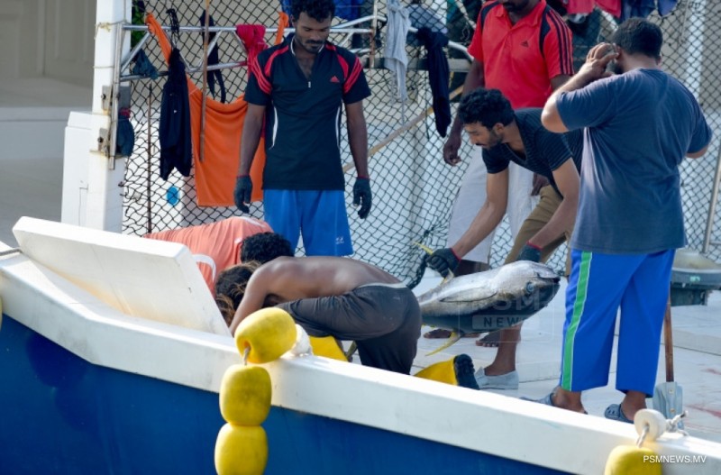 ރާއްޖޭގައި ބާނާ ކަންނެލި މަހަށް އެމްއެސްސީ ސެޓްފިކެޓް