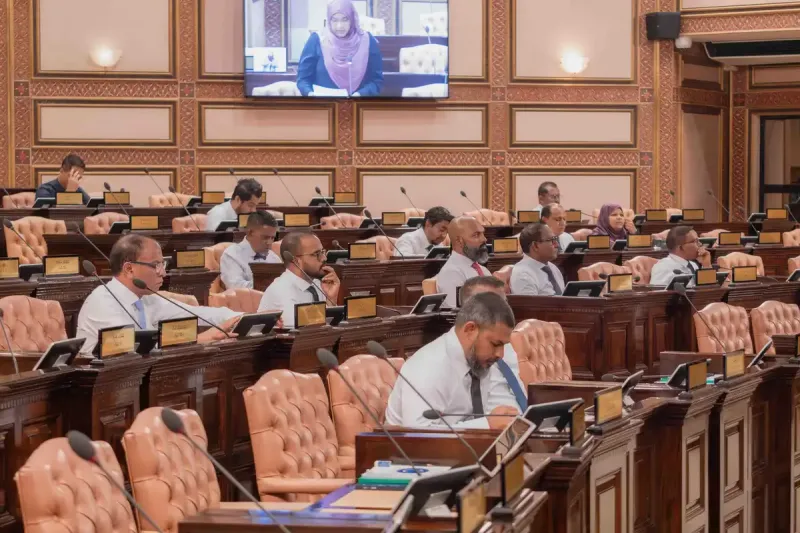 މަޖިލީހުގެ ވަކި އިންސައްތައެއް އެއީ 30 އަހަރުން ދަށުގެ ޒުވާނުންނާ އަންހެނުން ކަމަށް ކަނޑައަޅަން ދިރާސާ ކުރަނީ