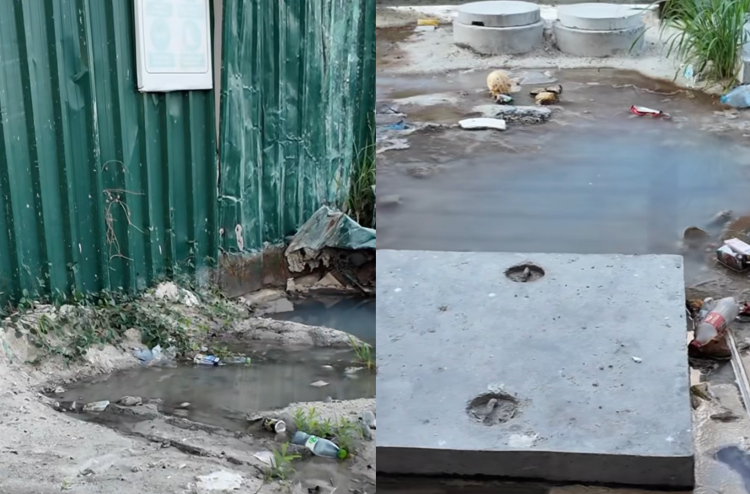 ނެޕީ އާއި އެކި ފާޑުގެ ކުނިން ފަހި ފްލެޓްތަކުގެ ޖަންކްޝަން ބެދި ނަޖިސް ލީކުވަނީ